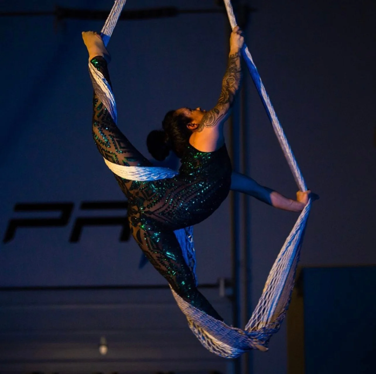 Deep Forest Green Sequin Catsuit, Sheer Glamour Jumpsuit, Stage Wear - Image 3