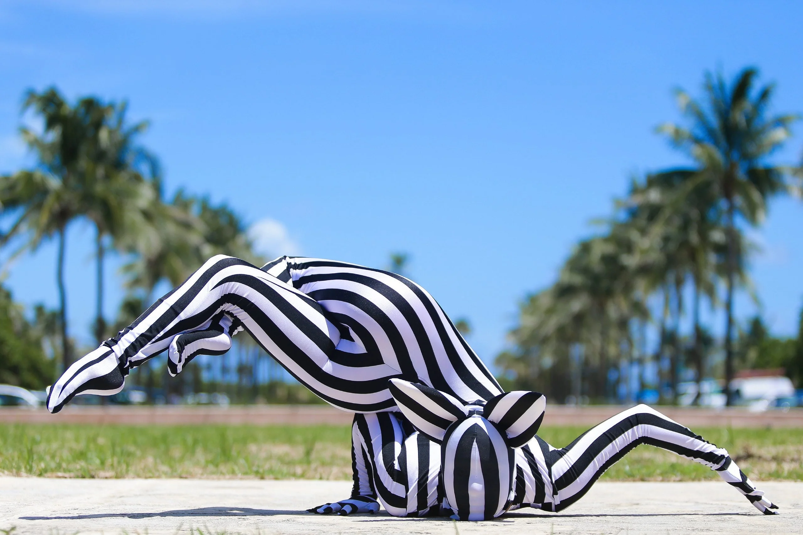 Black & White Striped Catsuit Costume, Headpiece With Cat Ears, Gloves, Socks - Image 3