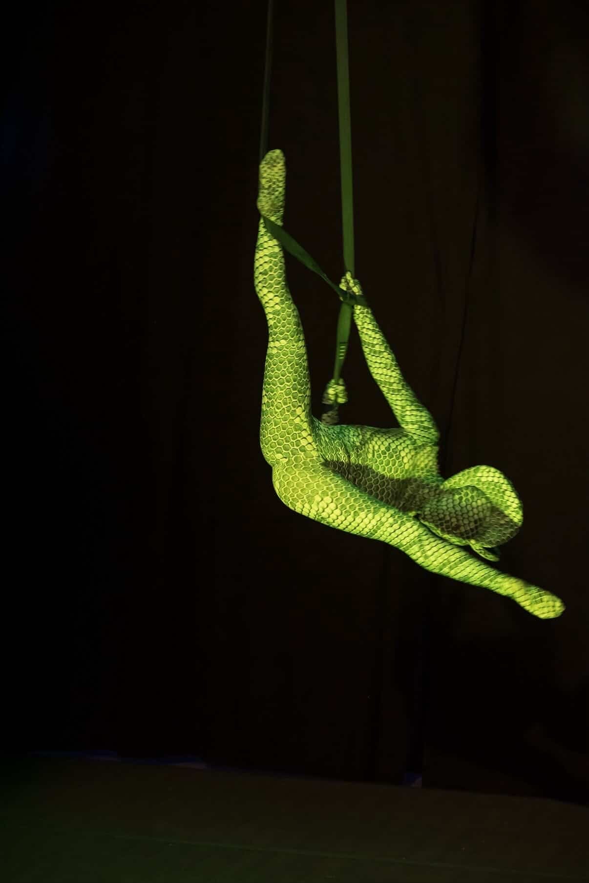 Green pixel Cobra Costume, Snake Print Catsuit, Serpent Cosplay, Contortionist Outfit, Dance Unitard, Headdress, Custom Made - Image 22