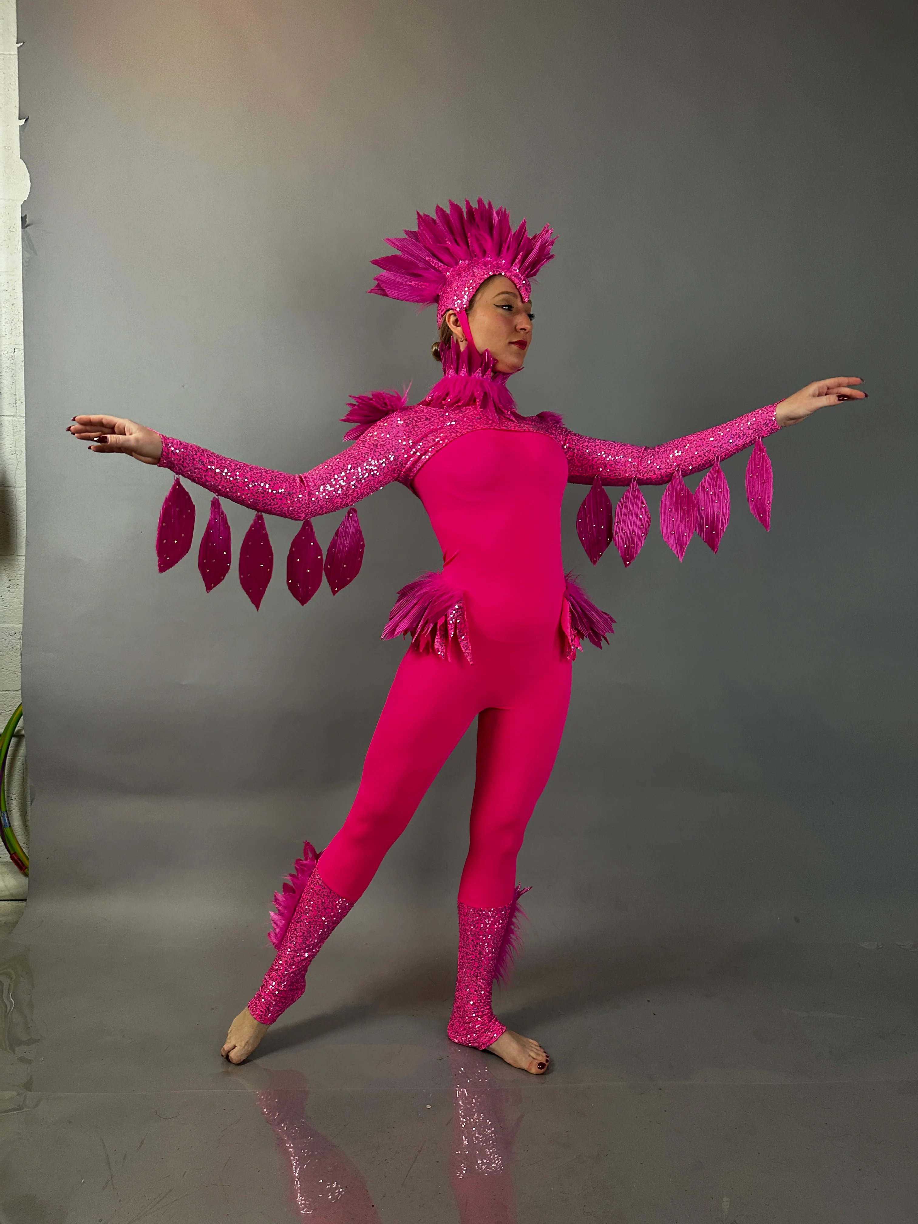 Pink Bird Theatrical Costume, Aerial Gymnastics Catsuit, Dancewear