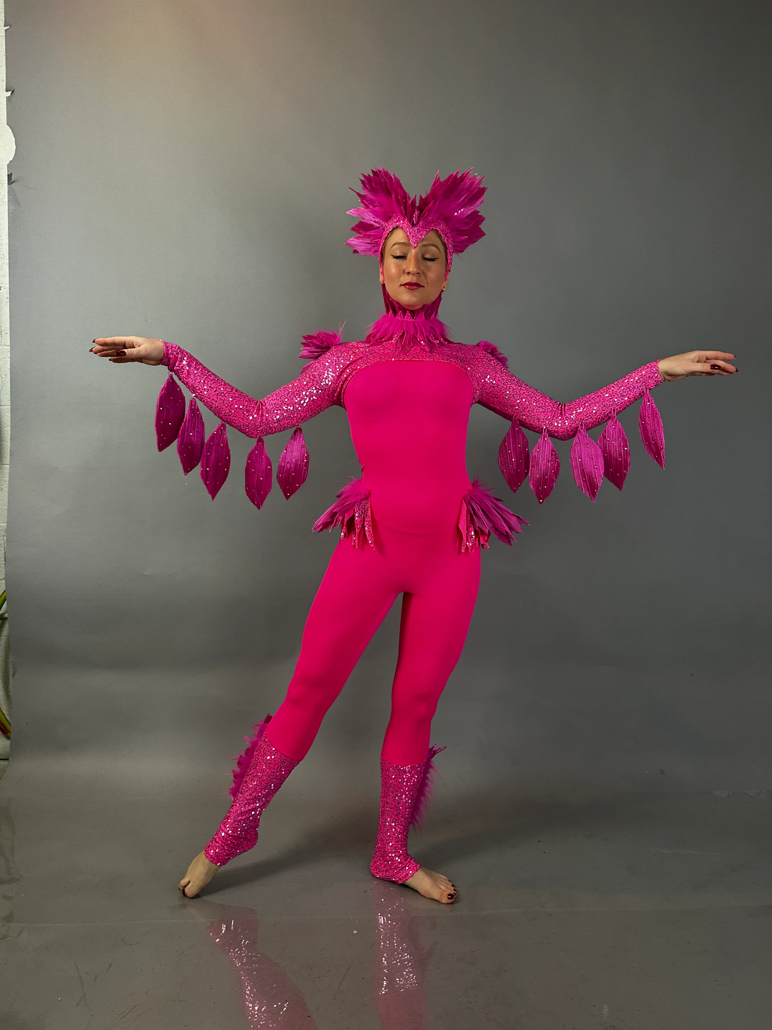 Pink Bird Theatrical Costume, Aerial Gymnastics Catsuit, Dancewear - Image 15