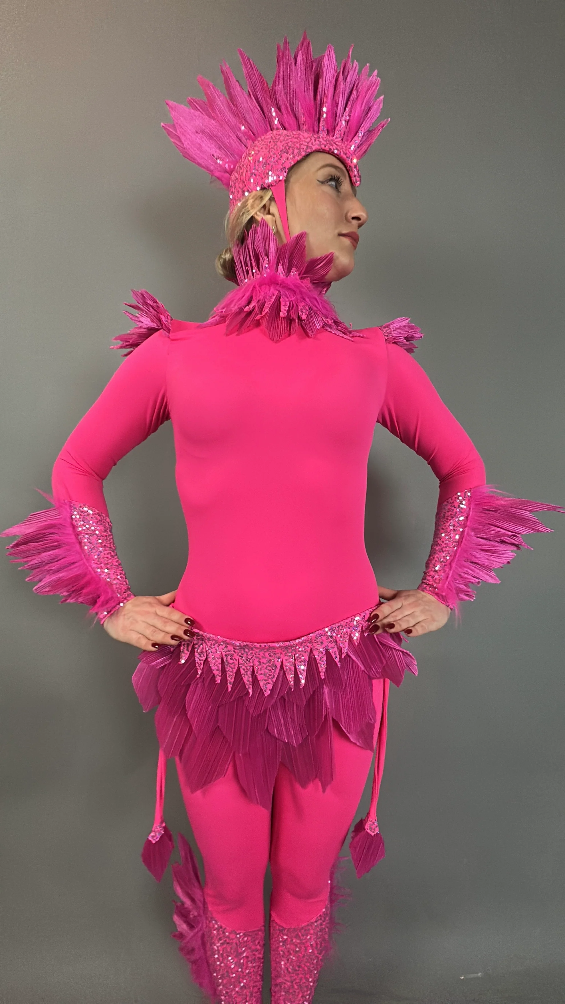 Pink Bird Theatrical Costume, Aerial Gymnastics Catsuit, Dancewear - Image 17