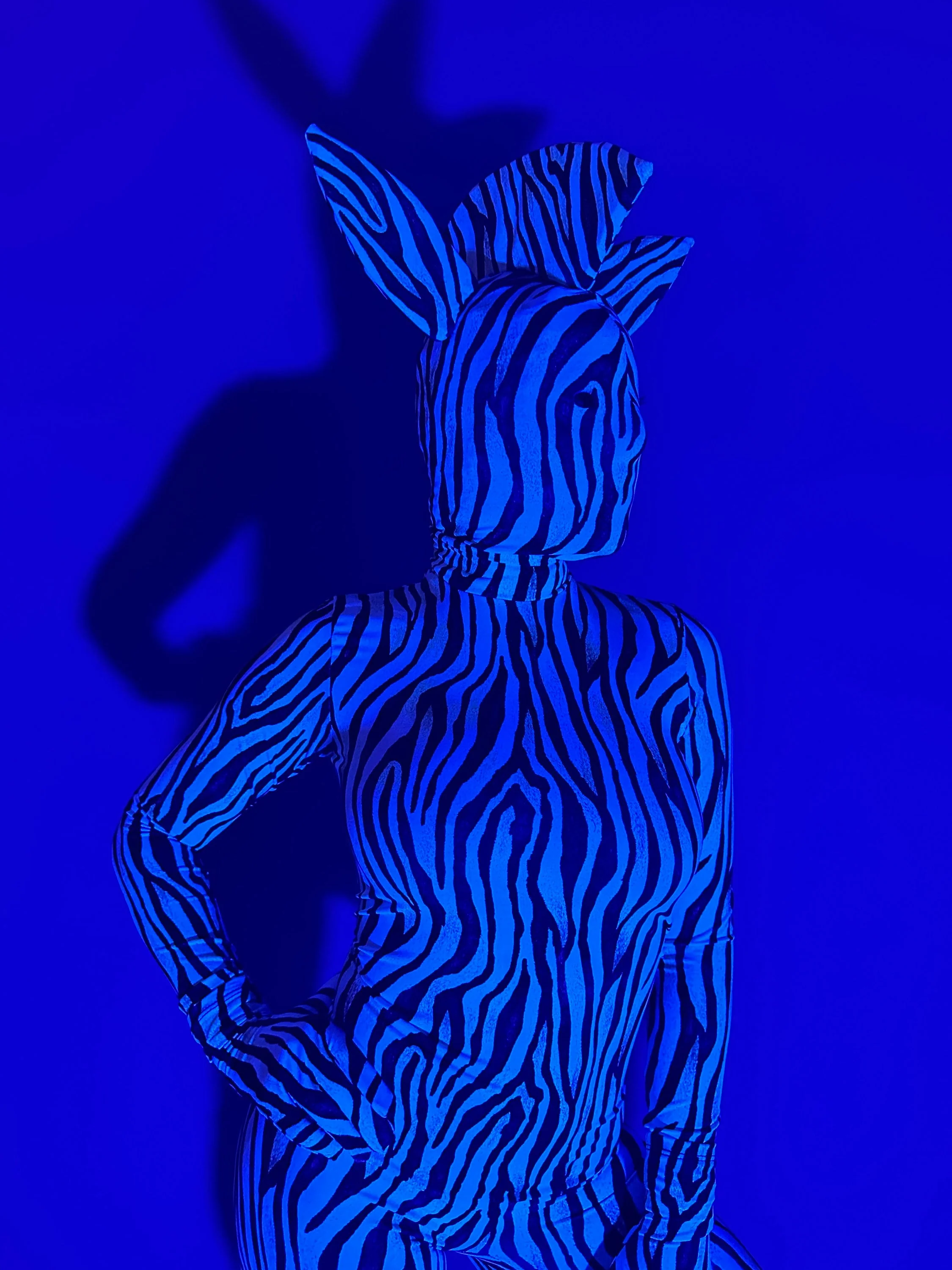 Zebra Costume, Festival Fashion, Animal Print Catsuit, Exotic Dance Wear, Contortionist Outfit, Glow in the Dark, Cosplay - Image 4